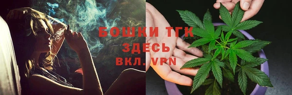 Альфа ПВП Богородск