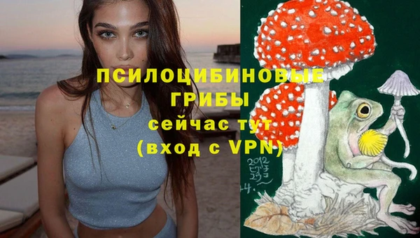 Альфа ПВП Богородск