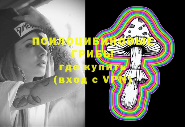 Альфа ПВП Богородск