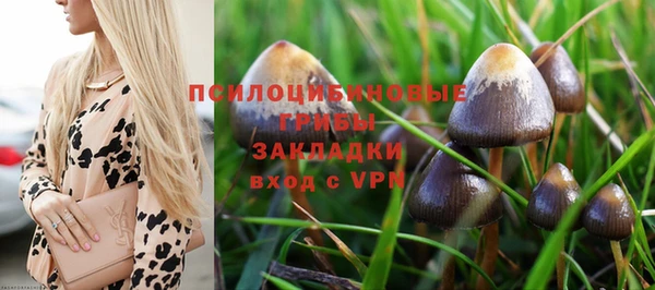 марки lsd Богородицк