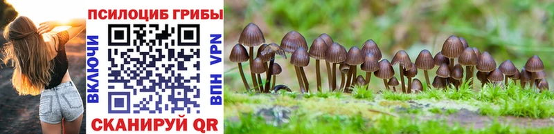 Псилоцибиновые грибы Magic Shrooms Верхняя Пышма
